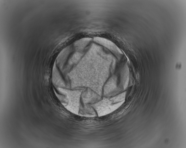 X0000099521300200806121453