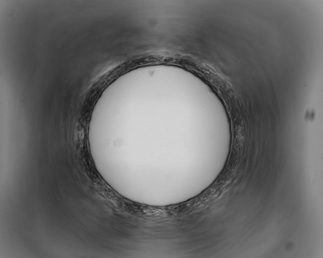 X0000099521302200806121453