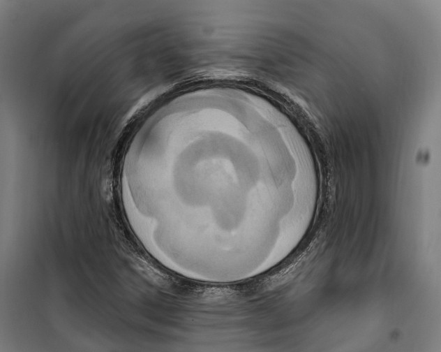 X0000099521306200806121453