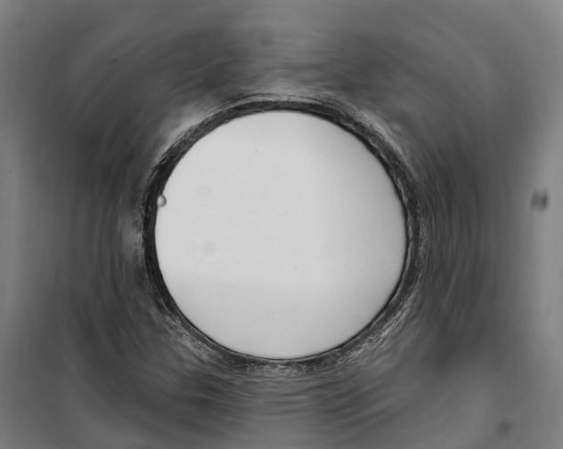 X0000099521307200806121453