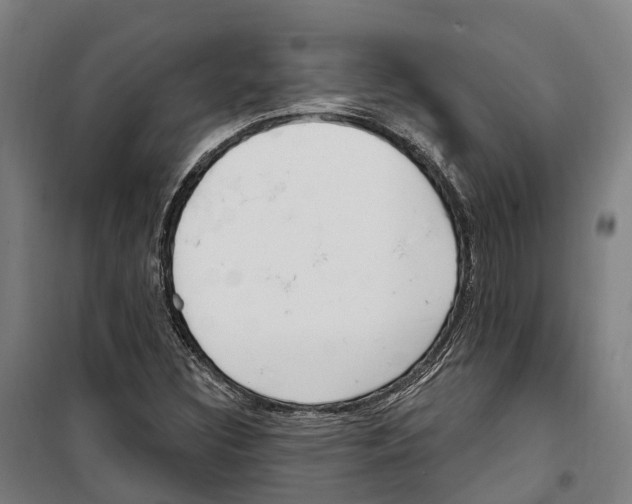 X0000099521308200806121453