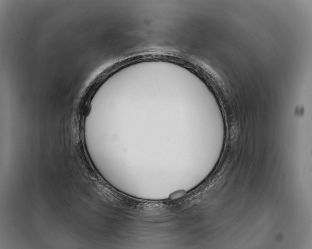 X0000099521310200806121453