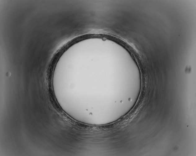 X0000099521311200806121453