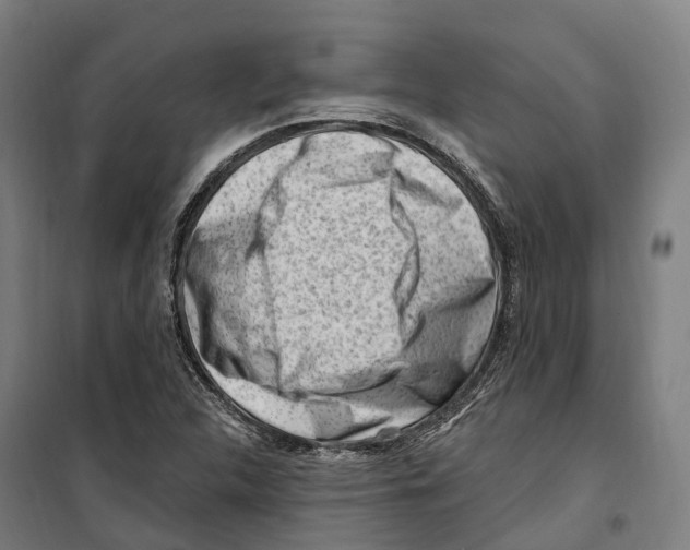 X0000099521312200806121453