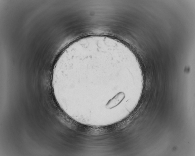 X0000099521314200806121453