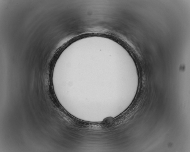 X0000099521315200806121453