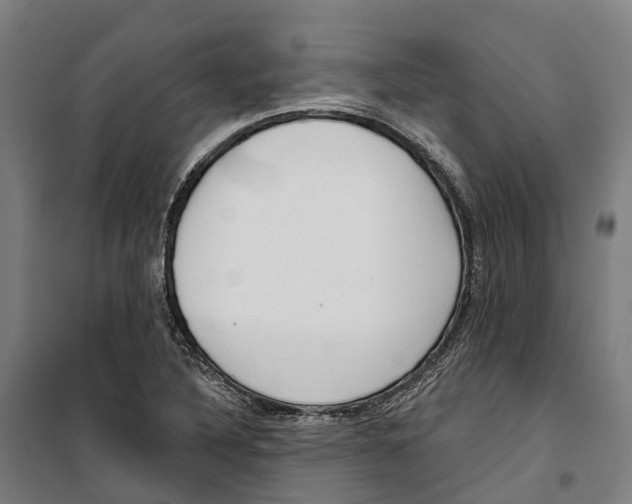 X0000099521316200806121453