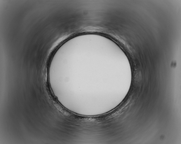 X0000099521317200806121453