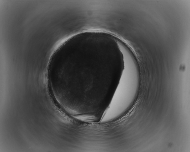 X0000099521319200806121453