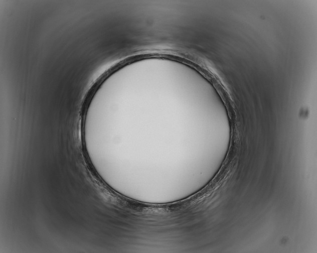 X0000099521320200806121453