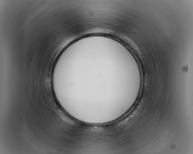 X0000099521321200806121453