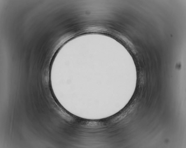 X0000099521322200806121453