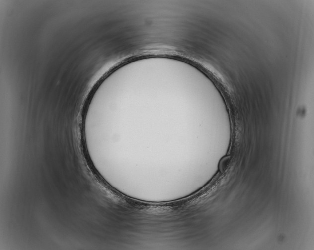 X0000099521325200806121453