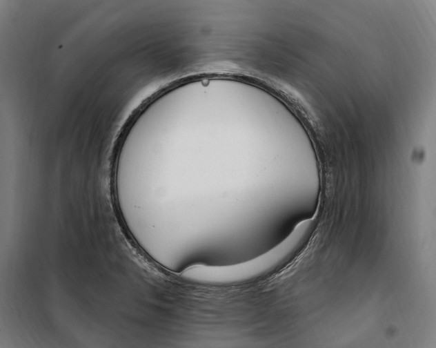 X0000099521326200806121453