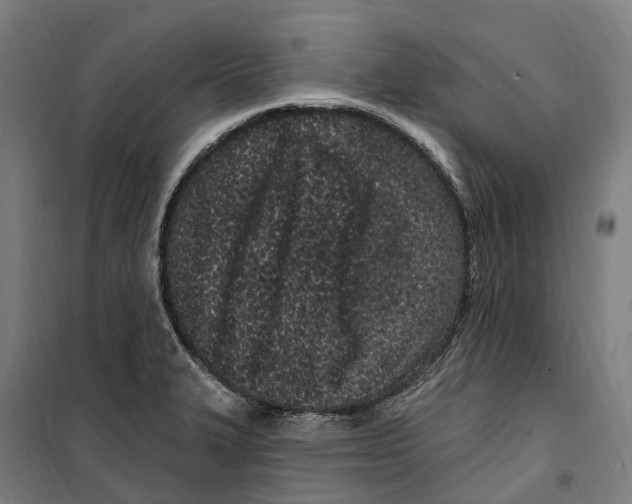 X0000099521327200806121453