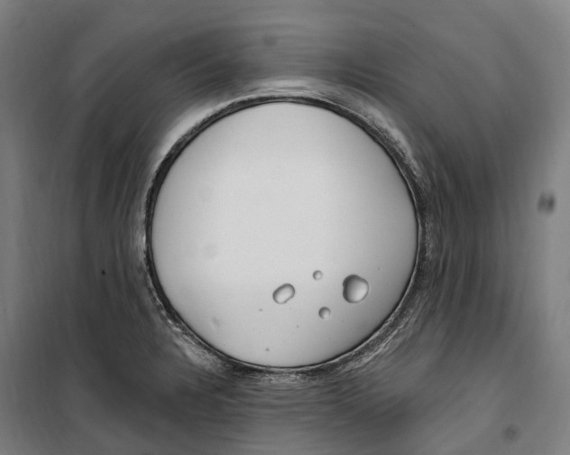 X0000099521328200806121453