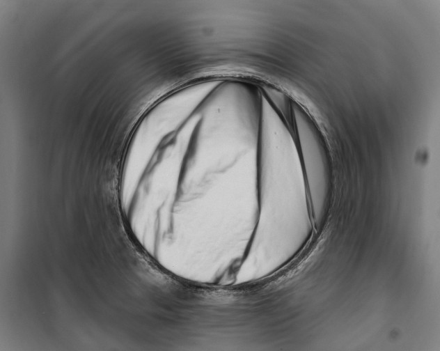 X0000099521329200806121453