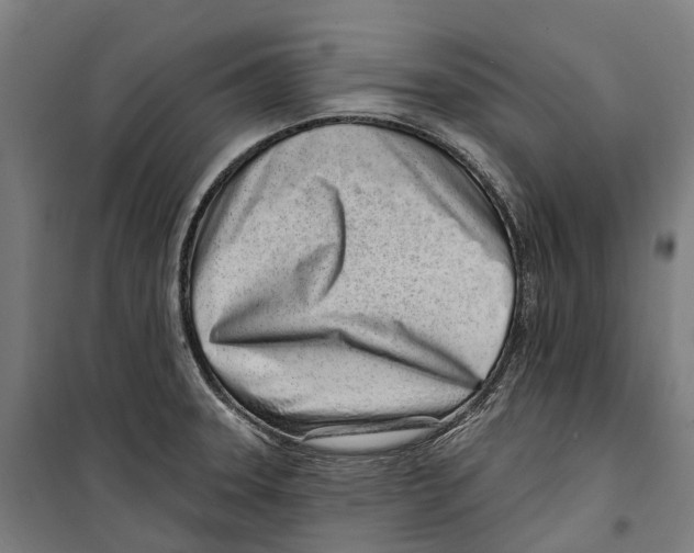 X0000099521331200806121453