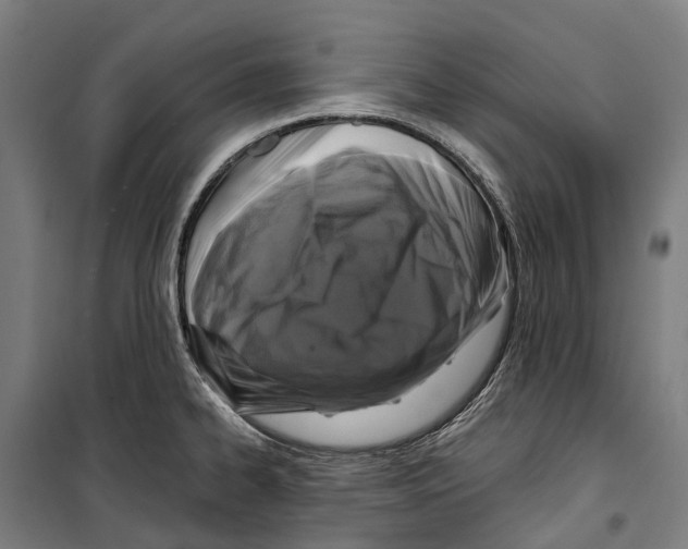 X0000099521334200806121453