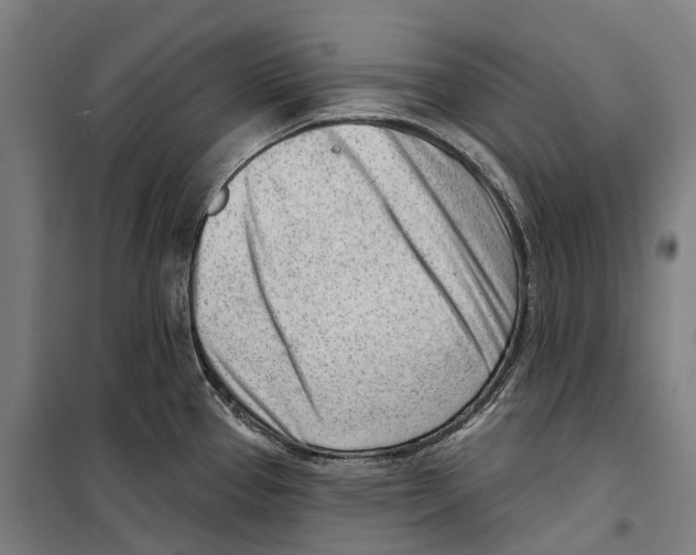 X0000099521337200806121453