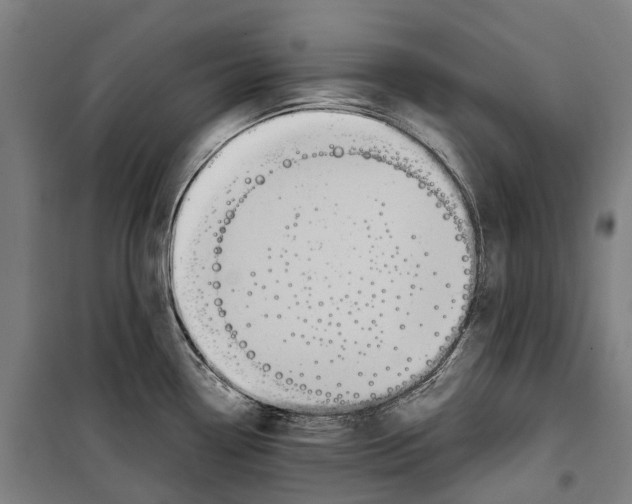 X0000099521338200806121453