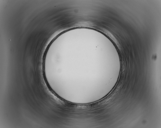 X0000099521339200806121453