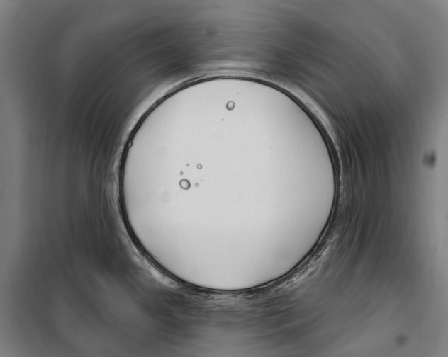 X0000099521341200806121453