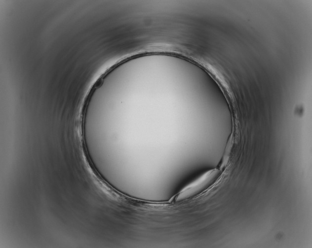 X0000099521342200806121453