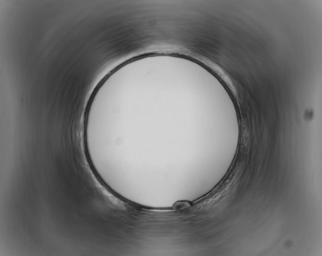 X0000099521343200806121453