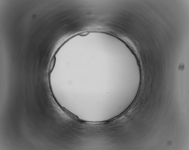 X0000099521344200806121453