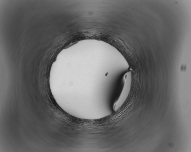 X0000099521345200806121453