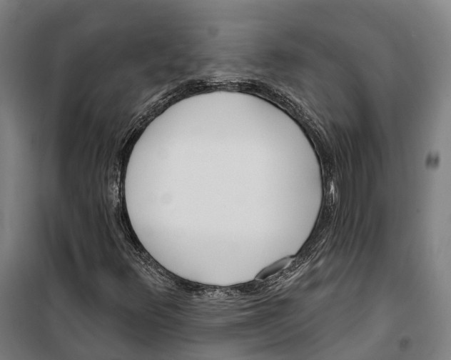 X0000099521348200806121453