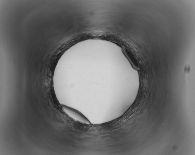 X0000099521349200806121453