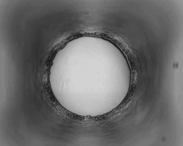 X0000099521350200806121453