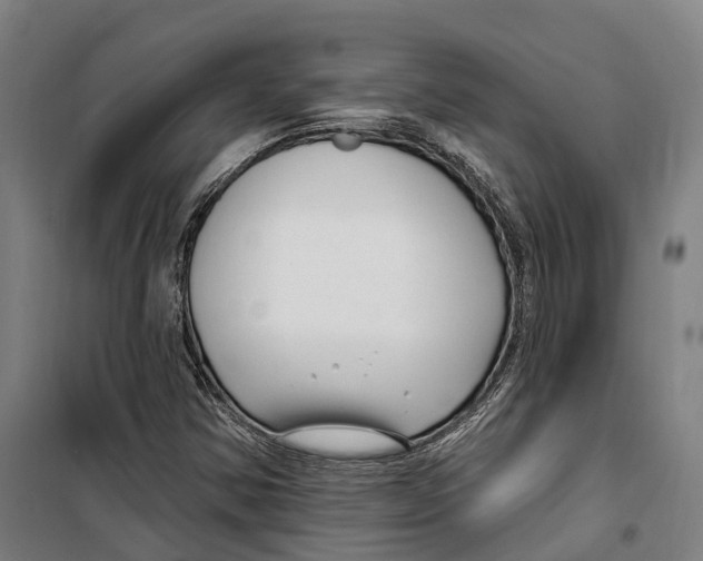 X0000099521354200806121452