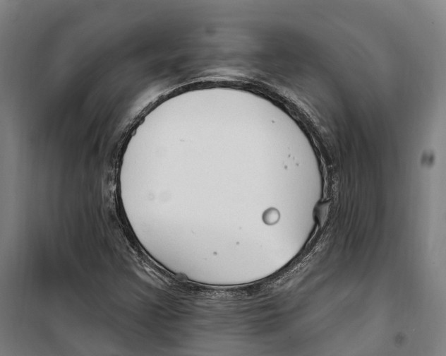 X0000099521355200806121452