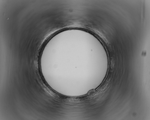 X0000099521356200806121452