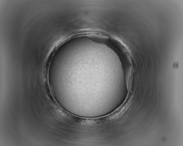 X0000099521357200806121452