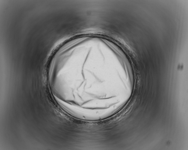 X0000099521358200806121452