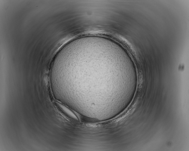 X0000099521361200806121452