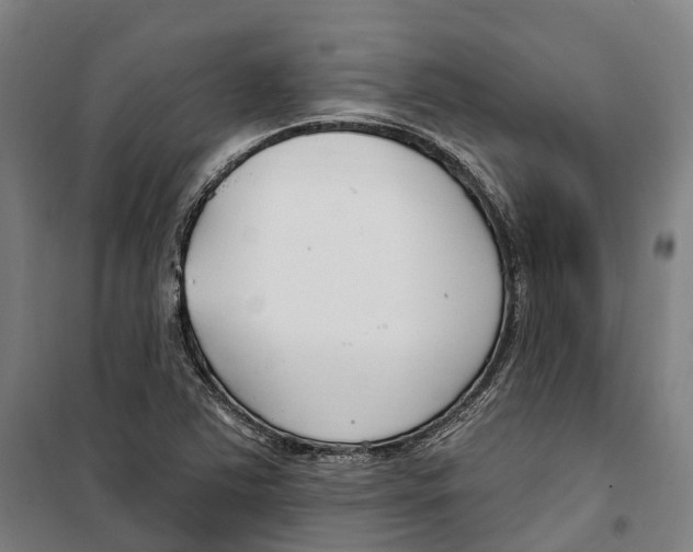 X0000099521363200806121452