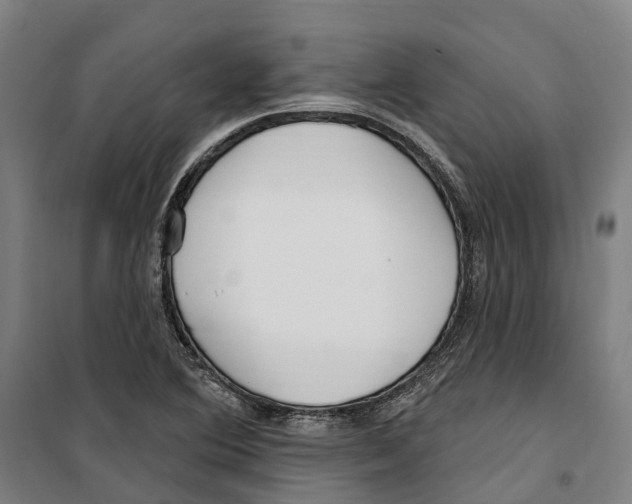 X0000099521364200806121452