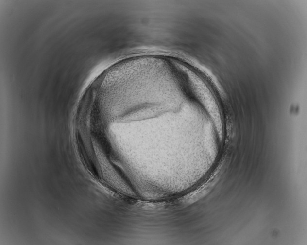 X0000099521365200806121452