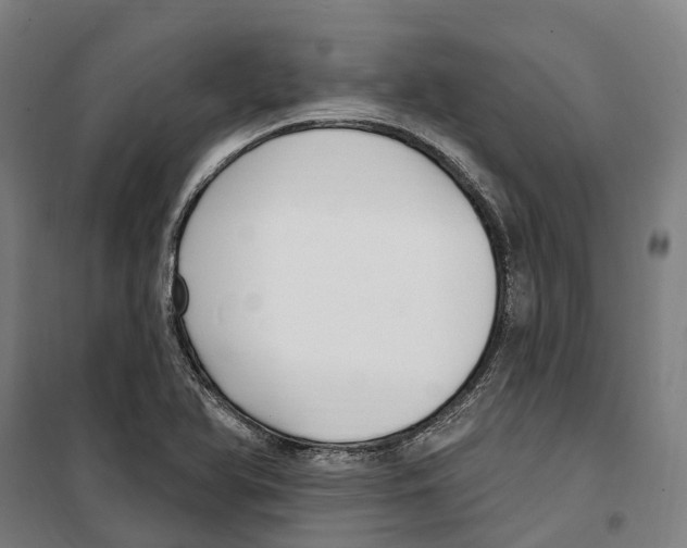 X0000099521366200806121452