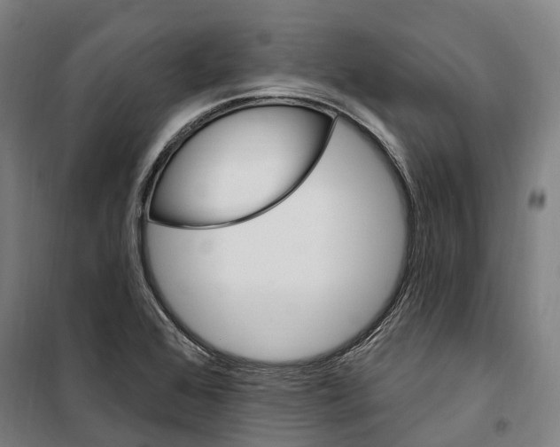 X0000099521368200806121452