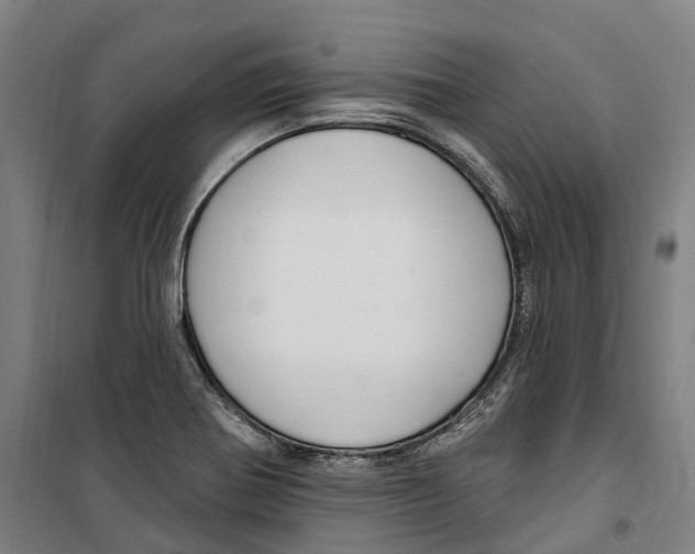 X0000099521370200806121452