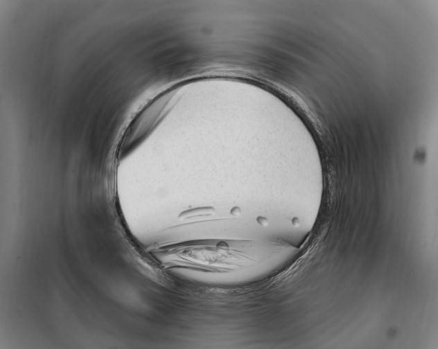 X0000099521371200806121452