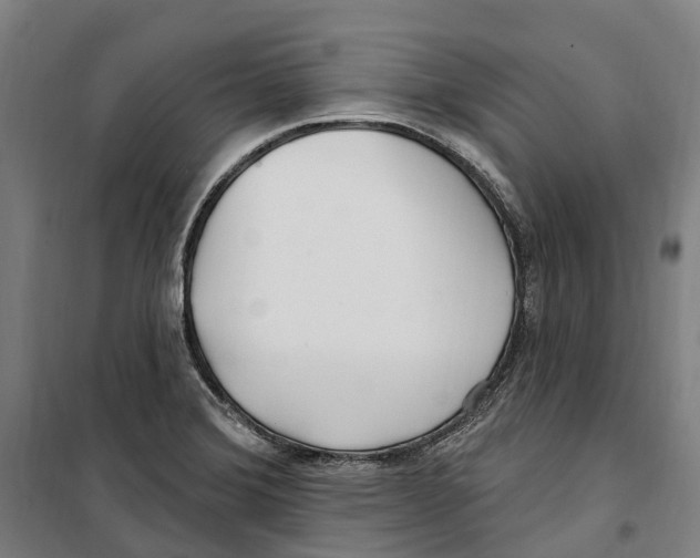 X0000099521372200806121452