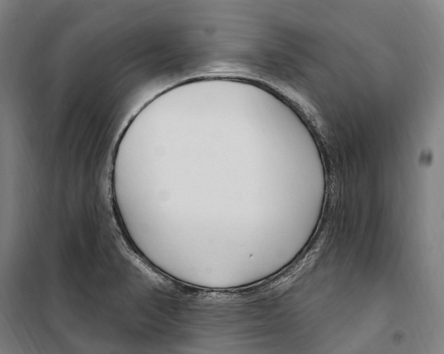 X0000099521374200806121452