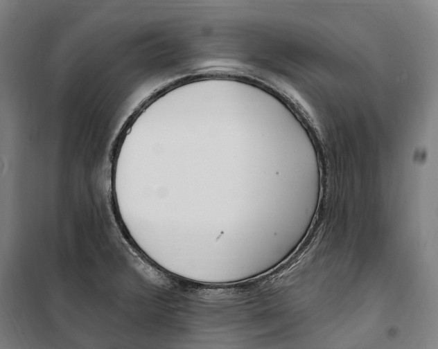 X0000099521376200806121452